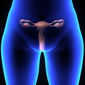Importance of fallopian tubes